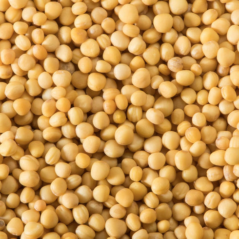 1.4 oz McCormick Yellow Mustard Seed