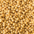 1.4 oz McCormick Yellow Mustard Seed