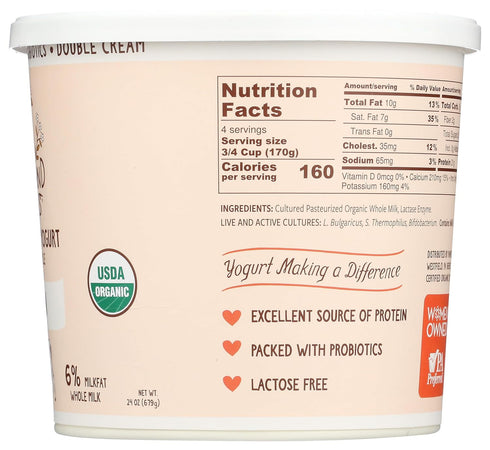 Painterland Sisters 24 , Yogurt Skyr Plain Organic, Ounce