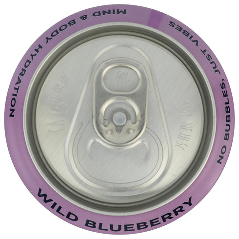 EleCountrolyte 16 Oz Leisure Hydration, Refresher Wild Blueberry, Fl