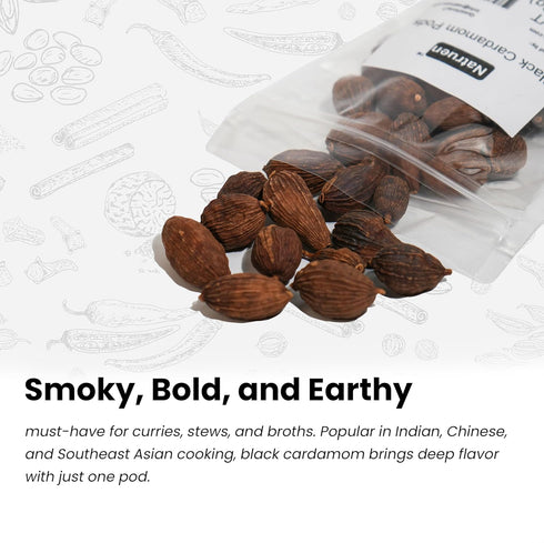 Whole Black Cardamom Pods (Tsao Ko) 4 Ounces, Approx 35 Pods, Natruen, All Natural, Non-GMO Spice