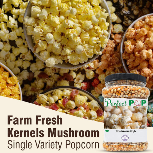 Concession Essentials 4lbs Premium Gourmet Mushroom Extra Large Popcorn Kernels