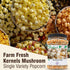 Concession Essentials 4lbs Premium Gourmet Mushroom Extra Large Popcorn Kernels