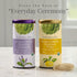 36 The Republic of Tea Organic Double Green Matcha Lavender, Individual Tea Bags with Japanese Matcha Tea Powder