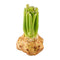 Fresh Produce (Brands May Vary) Organic Celery Root