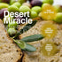 8.5 Oz (Pack 1) DESERTMIRACLE Cold Pressed Polyphenol Rich Moroccan Olive Oil, Organic Extra Virgin Olive Oil with High