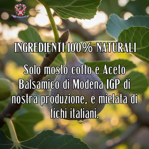 Acetaia (100ml 3,38 Oz) Malpighi - Dressing with Balsamic vinegar of Modena and Figs - fl