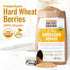 100% 5 lbs Grand Teton - Ancient Grains Khorasan Wheat Berries, Organic Berries, Premium Food-Grade Khorasan Grain
