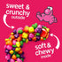 Gummy, 0.92 Oz Nerds Rope, Candy, Rainbow, Crunchy
