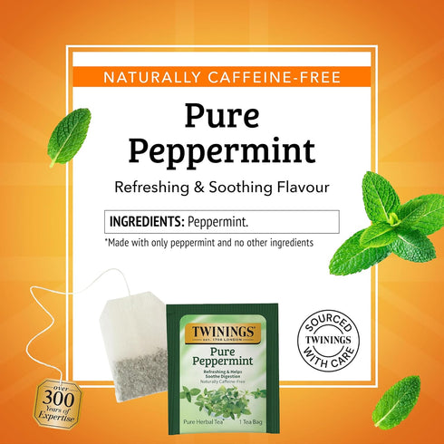 20 Count (Pack 1), 20 Twinings Pure Peppermint Herbal Tea Individually Wrapped Bags, of Fresh Minty Flavour, Naturally