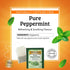100 Count (Pack 1), 100 Twinings Pure Peppermint Herbal Tea Individually Wrapped Bags, of Fresh Minty Flavour