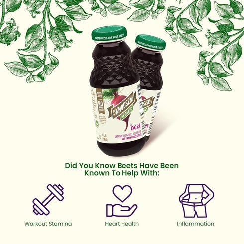 8 oz (12 Pack) R.W. Knudsen Organic Beet Juice, fl