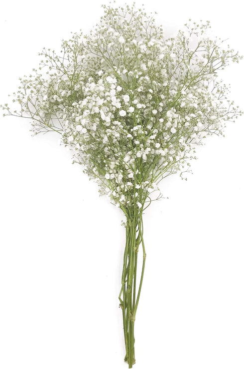 Floral (Suppliers May Vary) FLORAL Filler Flowers, 1 EA