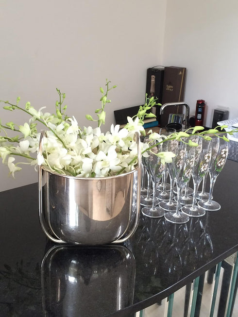 (10 Sunne Tropical OrchidClub USA Fresh Cut Flowers Dendrobium Orchids Stems WHITE)