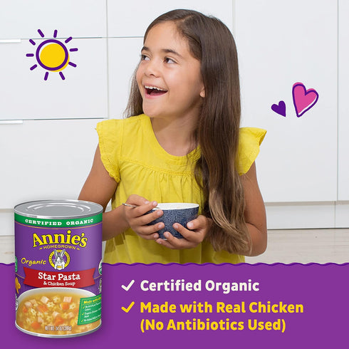 14 oz Annies Organic Star Pasta and Chicken Canned Soup, Ready To Serve