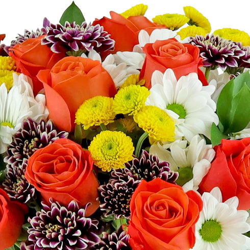 Benchmark Bouquets - Life is Good Orange Roses - Fresh Flowers for Delivery - Mothers Day Flowers for Mom - Gifts