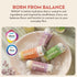 3g Immunity 12oz RINGA Elderberry Lavender Lemonade Sparkling Drink - Organic Moringa + Apple Cider Vinegar