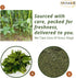 bonballoon (34.58 oz 980 / gm) Dry Mallow Premium Egyptian Spinach Dried Molokhia Molocheya Mulukhiyah For Cooking