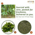 bonballoon 44.44 oz 1260 Egyptian Dry Mallow Spinach Dried Molokhia Molocheya Premium Mulukhiyah for Cooking Herbals