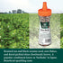Eden Shake Furikake - Made in Japan Rice Seasoning, No Sugar, Seaweed, Nori, Pickled Red Shiso Leaf, 2.1 oz (2-Pack)