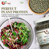 1.5 NY SPICE SHOP French Lentils Pounds French Green Lentils Dry Lentil Beans - Protein & Fiber Rich - Great for Stews