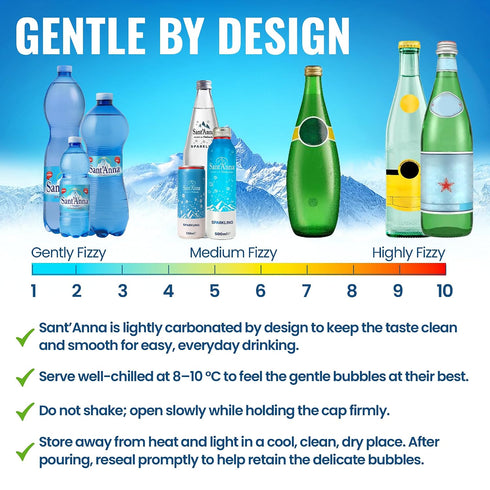 16.9 Oz (24-Pack) Sant'Anna Frizzante Sparkling Natural Mineral Water, Fl | Pure Italian Alps Mountain-Fresh Drinking
