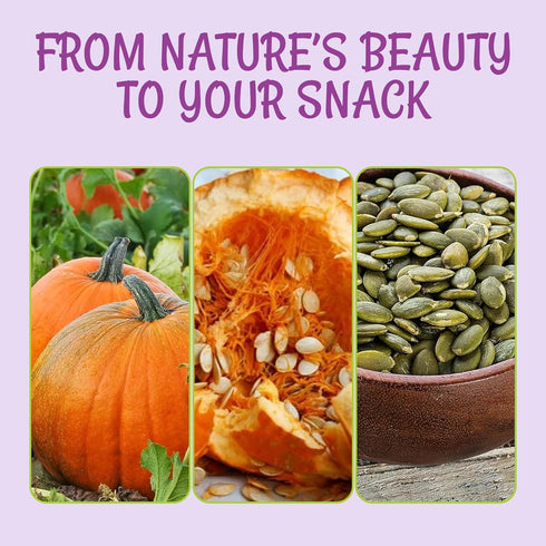 3 lb Packed Oh! Nuts Pumpkin Seeds - Roasted Salted - - No Shell Pepitas - in New York Zip-Seal Bag for Exceptional
