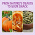 3 lb Packed Oh! Nuts Pumpkin Seeds - Roasted Salted - - No Shell Pepitas - in New York Zip-Seal Bag for Exceptional