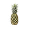 Fresh Produce Organic Pineapple, 1 Each