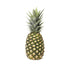 Fresh Produce Organic Pineapple, 1 Each