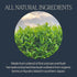15 Count (Pack 1) Rishi Tea Sencha Green Tea - Organic Sachet Bags, Caffeinated Japanese Green Tea, Enjoy Hot or Iced