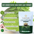 100g (3.53oz) Exotic Veda Curry Leaf Powder Kadi Patta (Murraya koenigii) | Vegan, NonGMO, AdditiveFree Indian Spice |