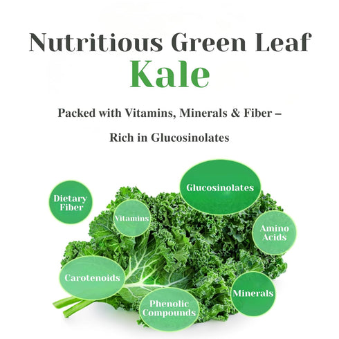 Packs 100% Packed, Pure Curly Kale Powder Stick Freeze-Dried Kale, Kale Powder, No Artificial Colors or Flavors