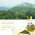 Oriarm Anxi Tie Guan Yin 250g, Chinese Tieguanyin Oolong Tea Loose Leaf from Fujian Wu Long Green Tea