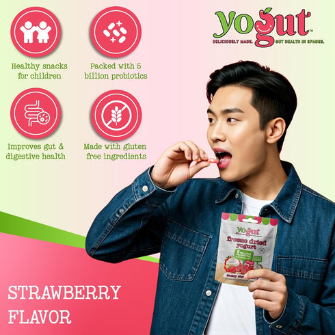 Pack, 5 6 Pack YoGut Freeze Dried Yogurt Snack Variety Healthy, On-the-Go Smoothie Melts Snacks for Kids & Adults