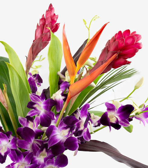 Generic Fresh Orchids and Tropical Flower Bouquet, Purple Orchids, Red Ginger, Heliconia, Mixed Foliage, Hawaiian