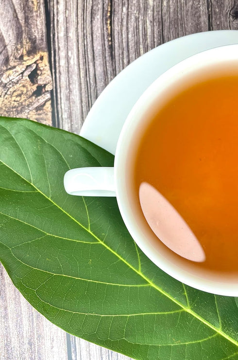 Palm Beach Medicinal Herbs - Avocado Leaf Tea, Pure Herbal Tea Series, 30ct