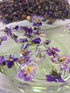 Dried Violets - Natural Violet Flower Sprinkles from Germany (Viola Odorata) - Whole Flowers for Salads, Snacks,