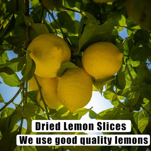 ZCFIKJ 2.5Oz/70g,Natural Dried Lemon Slices Dehydrated Lemon Slices for Cocktails Garnish/Potpourri/Cake