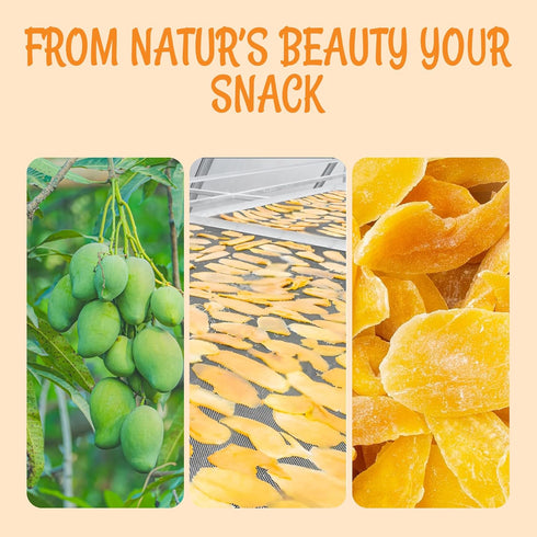 1 lb Packed Oh! Nuts Dried Mango - Dehydrated Mango Slices - Dried Mango Fruit - - in New York Zip-Seal Bag