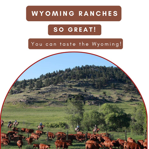100% 4X 6g Wyoming Grass Fed Beef Sticks - Each Flavor - Cowboy Hickory smoke, Wild Ginger & Original Jalapeno - Clean