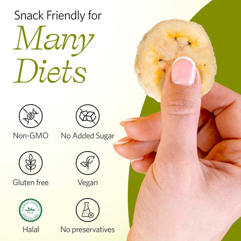 8.8 oz Vinamit Dried Banana Chips, Resealable Bag | Banana Chips Unsweetened, Non-GMO, Gluten-Free, No Added Sugar & No