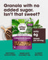 (Cinnammon 1 Pack) Alter Eco Cinnamon Raisin Granola, Healthy, Organic Breakfast & Snack, Naturally Sweetened