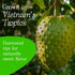 Pack 3 3.5 oz Vinamit Soft Dried Soursop Fruit | The Product Contains Seeds | of | Natural Vietnamese Graviola