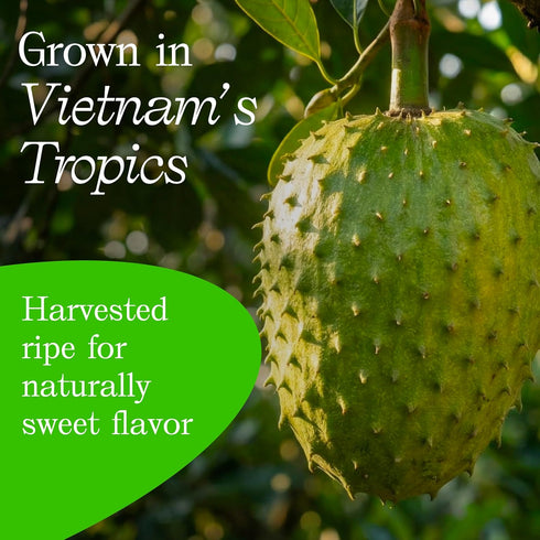 3.5 oz Vinamit Soft Dried Soursop | Soursop Fruit bag | Natural Tropical Fruit Snack | Vegan, Gluten-Free, Non-GMO |
