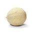 Fresh Produce 1 PRODUCE Cantaloupes, EA
