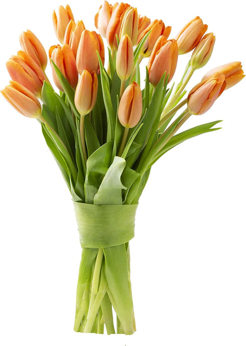 Blooms2Door - 20 Orange Tulips (Farm-Fresh Flowers, Cut-to-Order) - Fresh Flowers for