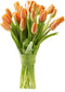 Blooms2Door - 20 Orange Tulips (Farm-Fresh Flowers, Cut-to-Order) - Fresh Flowers for