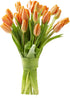 Blooms2Door - 20 Orange Tulips (Farm-Fresh Flowers, Cut-to-Order) - Fresh Flowers for
