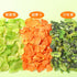 FIFIWER topping11.3oz/320g ramen veggies dehydrateddried vegetable mixdried ramen Dehydrated Vegetables for Ramen